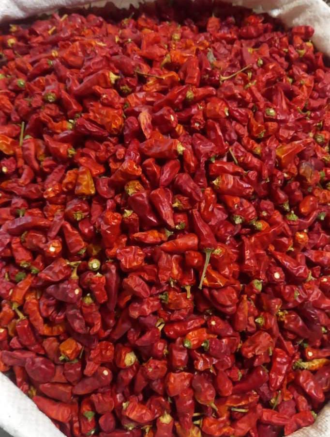 Red Pepper